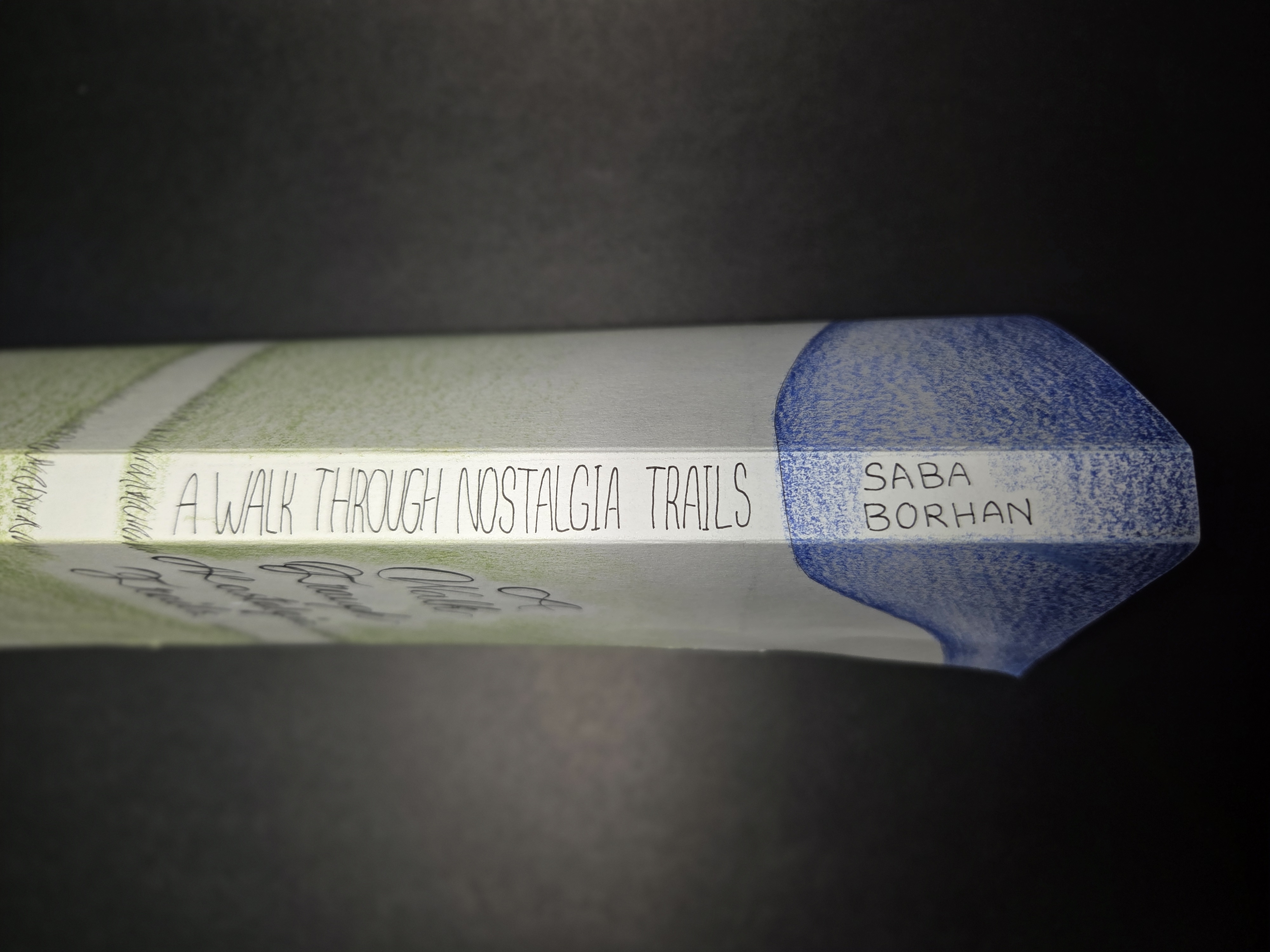 saba borhan - a walk through nostalgia trails