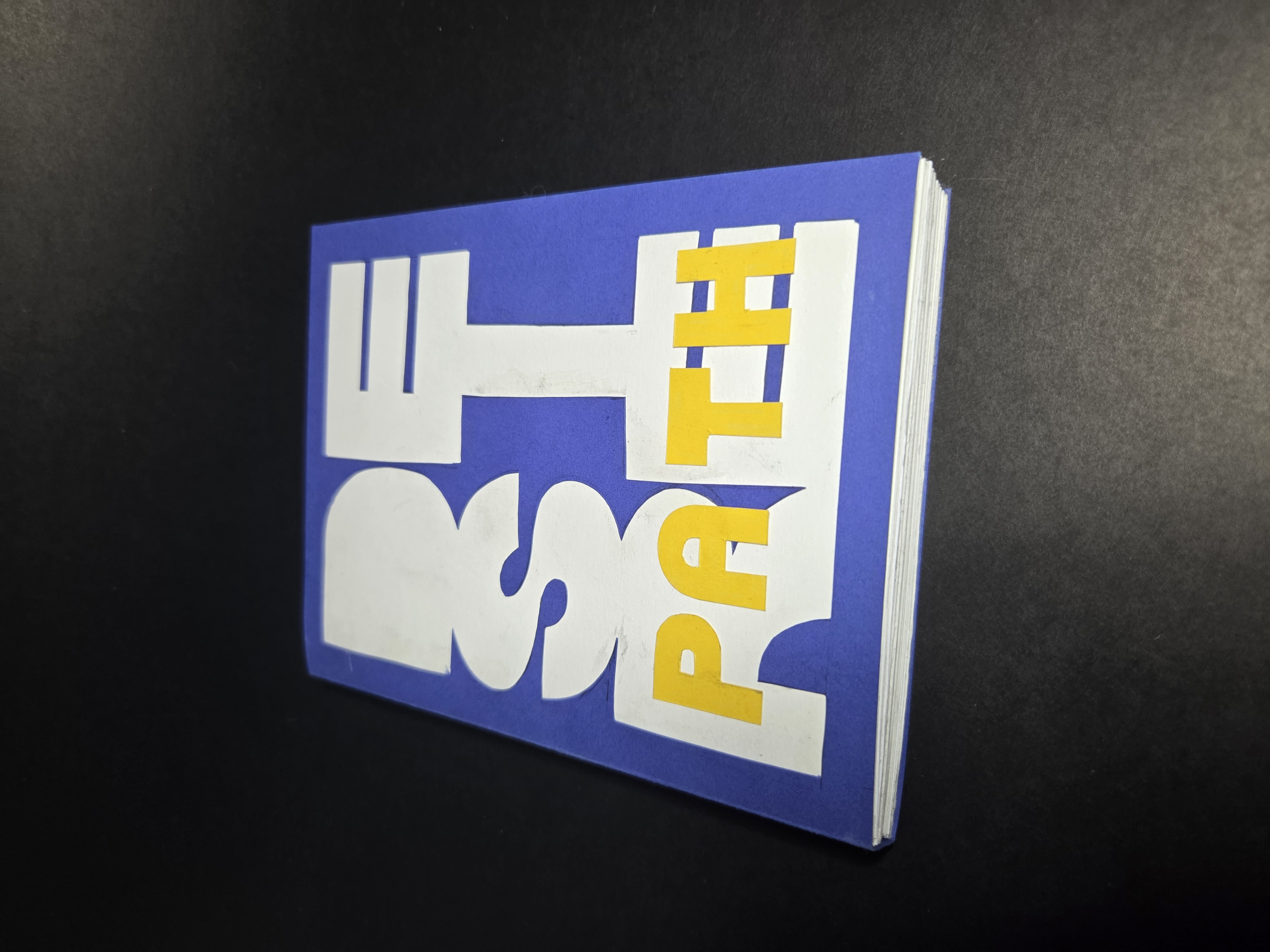 shirley huang - desire path