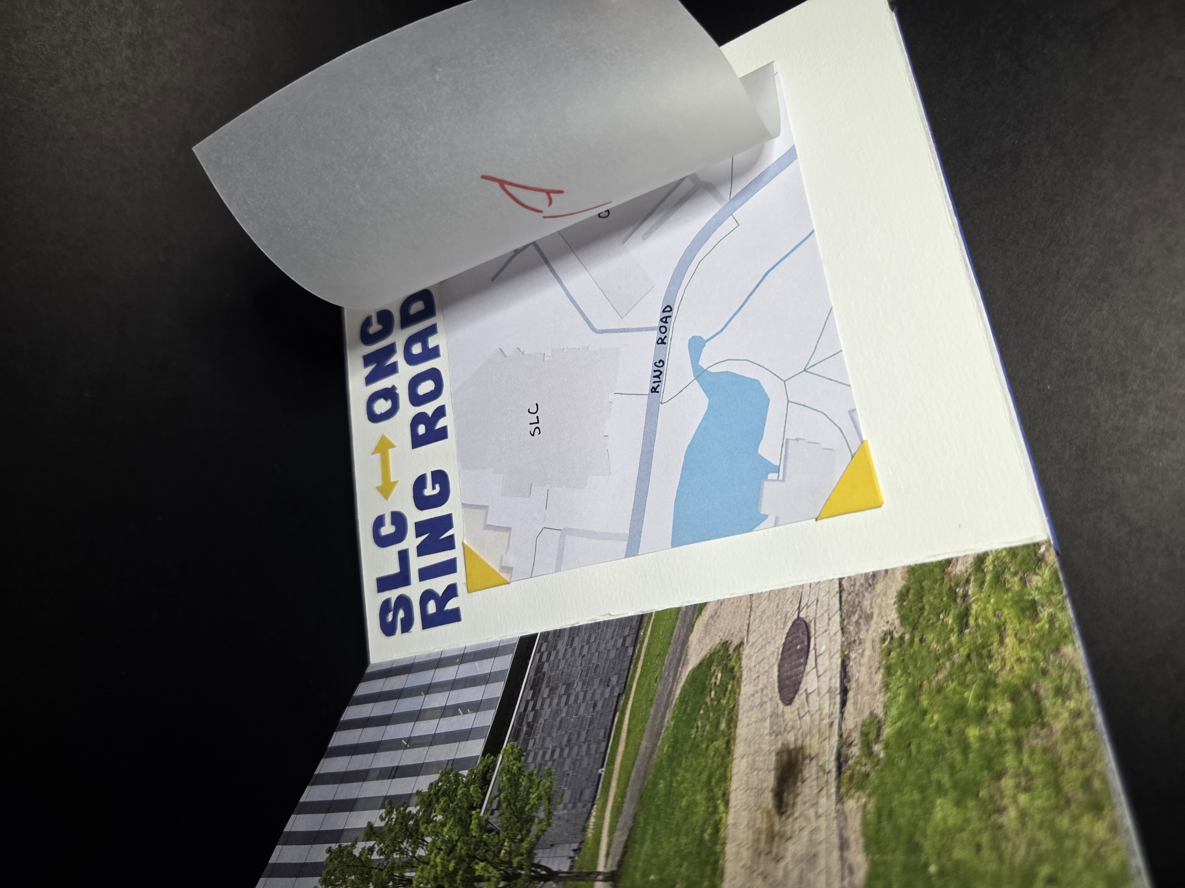 shirley huang - desire path