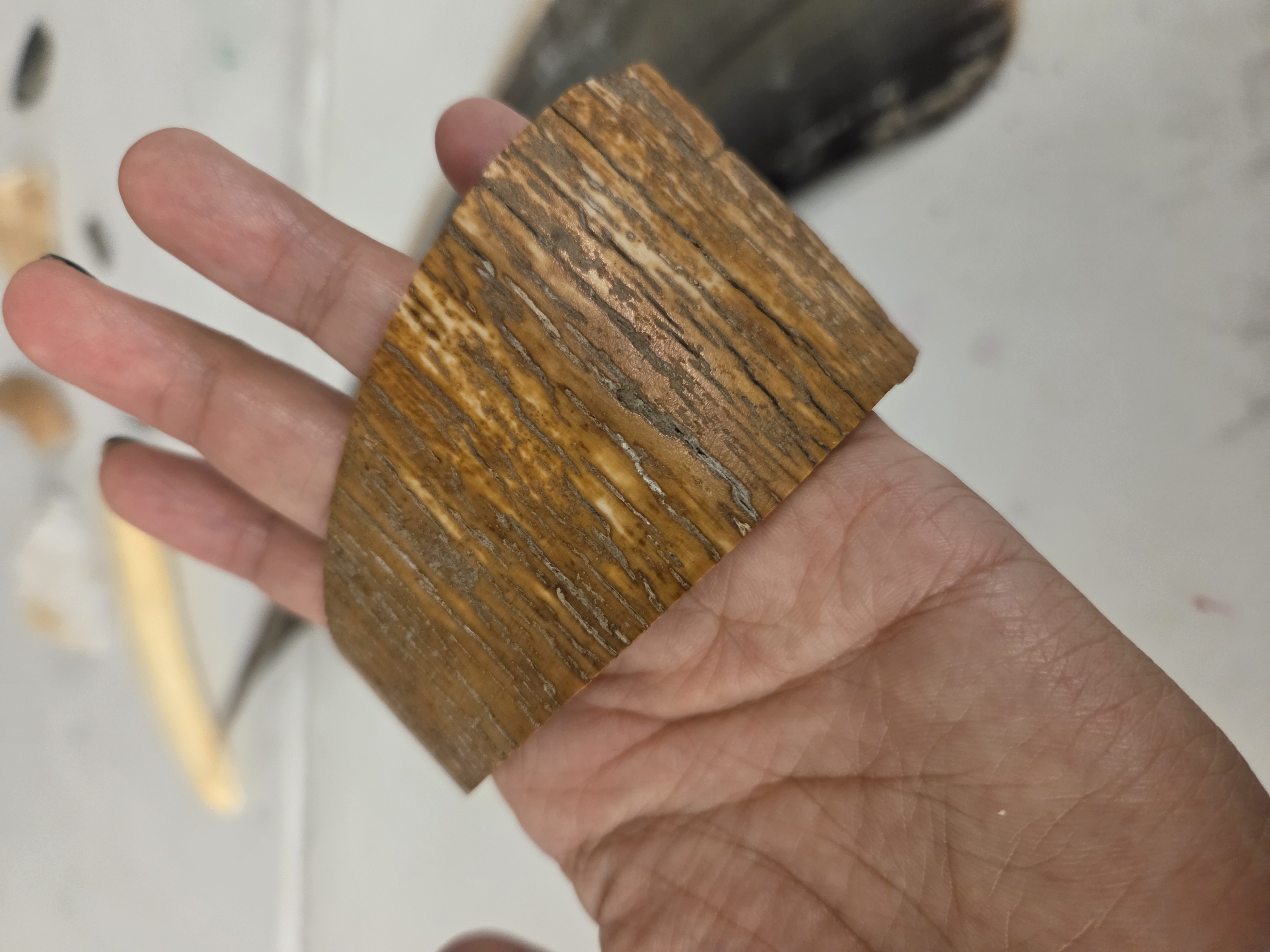 Billy Gauthier 20250528