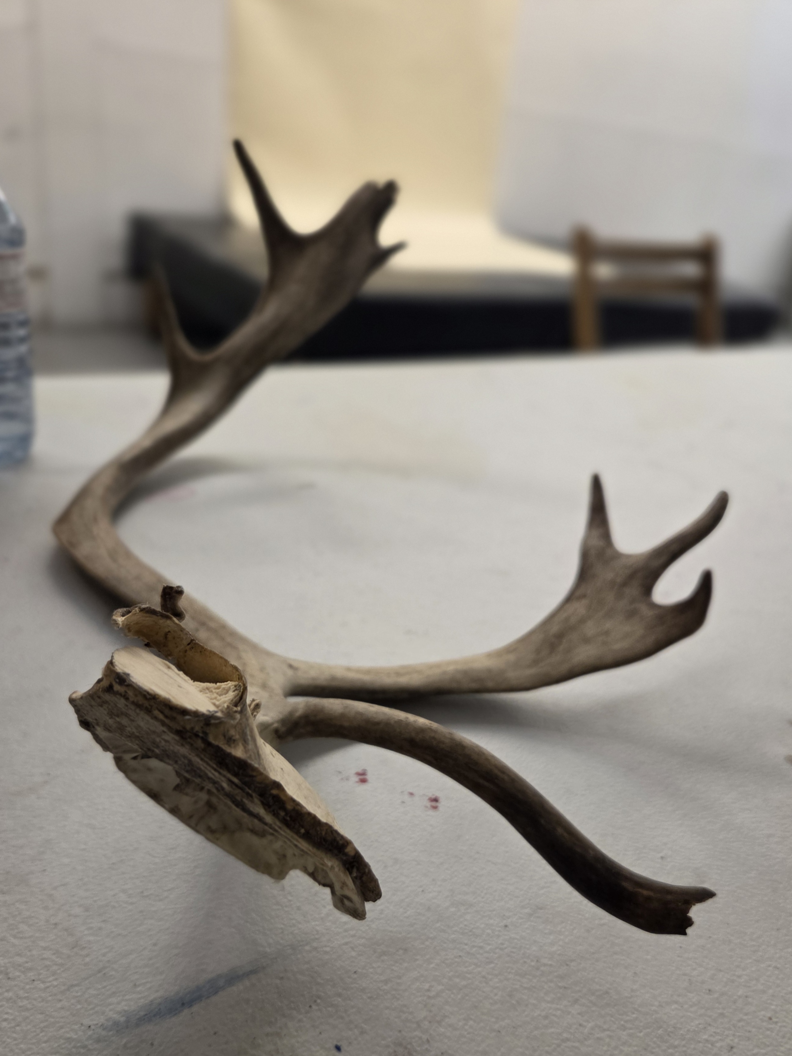 Billy Gauthier 20250528